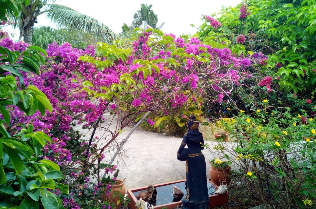 Le Moulin De La Baie Piscine Vue Mer Le Moule Ngoại thất bức ảnh