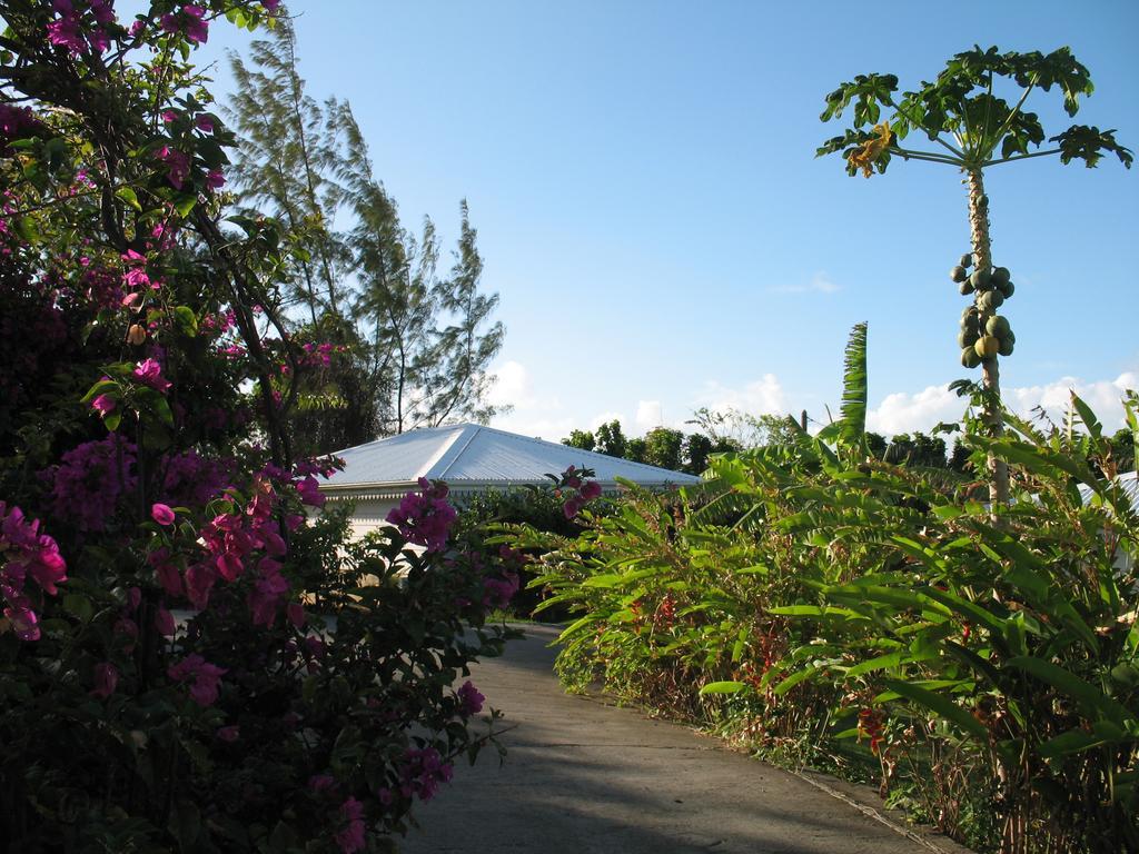 Le Moulin De La Baie Piscine Vue Mer Le Moule Ngoại thất bức ảnh